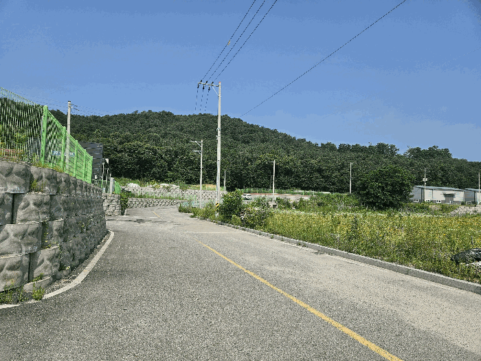 본건 및 주변 전경