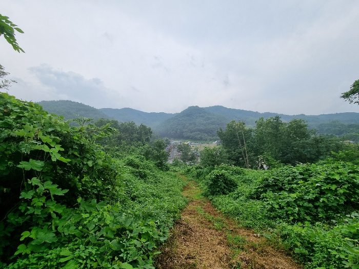 본건 1-7 전경(남쪽 방향)