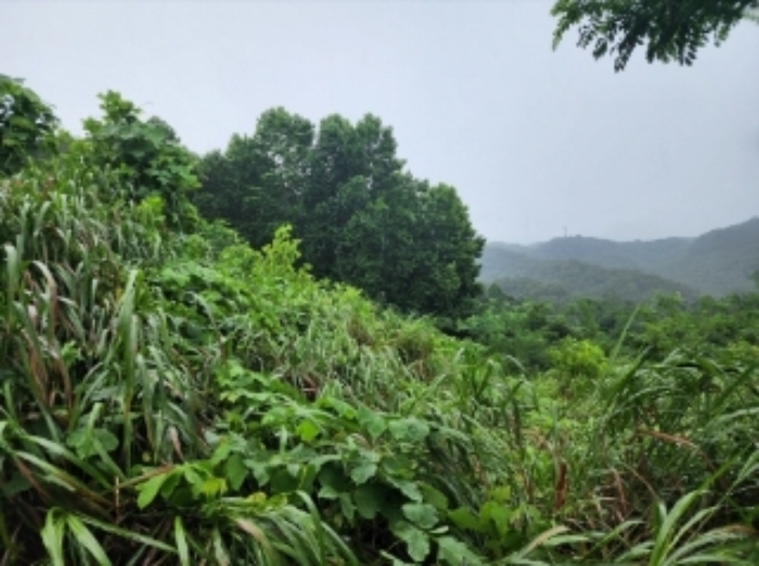 본건1,4
