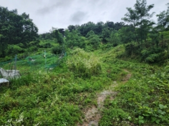 본건3,5,8,9