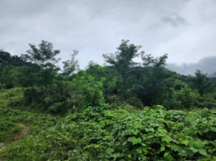 본건6,7