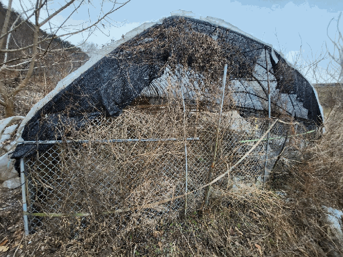 제시외 비닐하우스