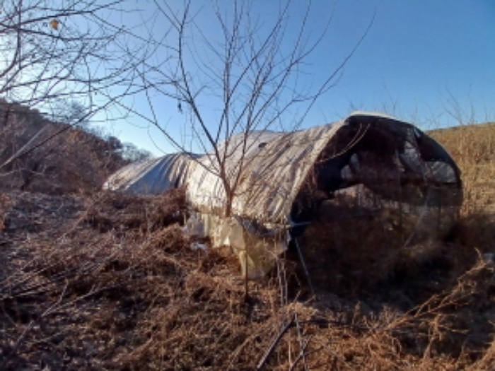 제시외 비닐하우스