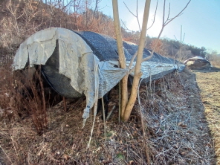 제시외 비닐하우스