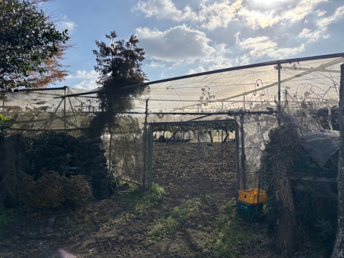 일련번호 1) 전경