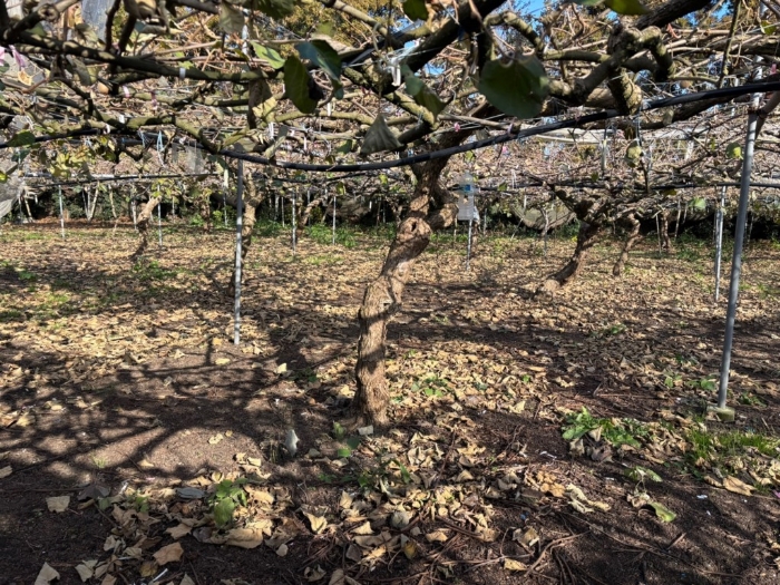 일련번호 1) 전경