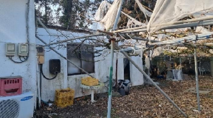 소재지2(함와로 135-26) 제시 부속건물 관리사