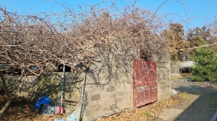 소재지2(함와로 135-26) 제시 부속건물 돈사