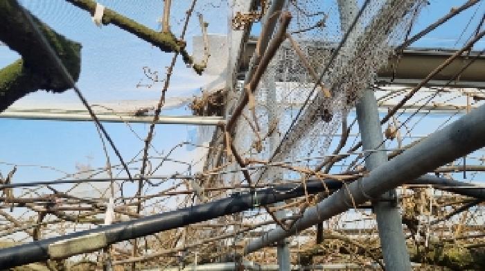 소재지1(함덕리 68-5) 전경2