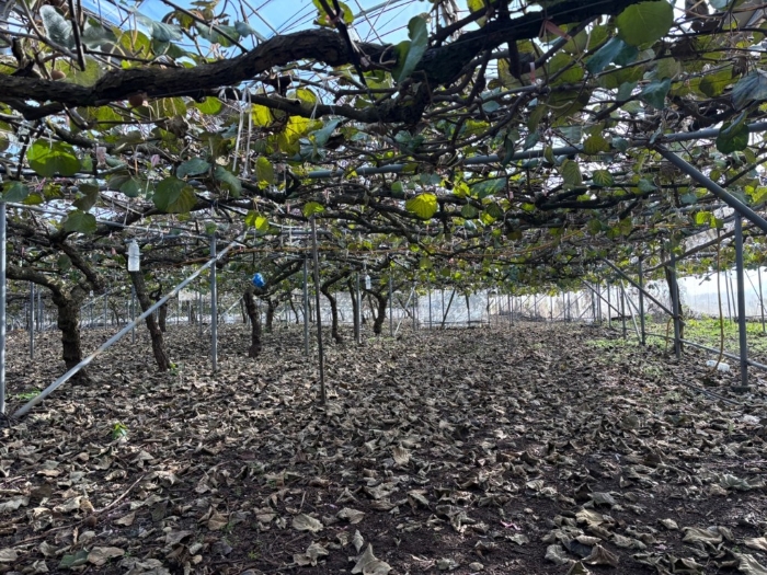 일련번호 1) 전경