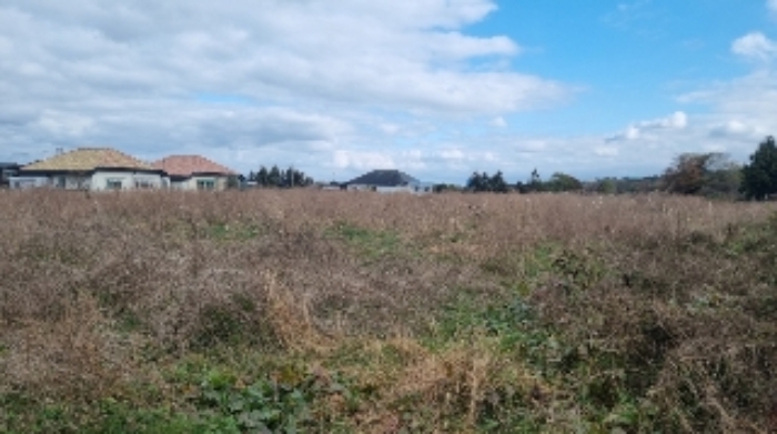 소재지1(봉개동 227-19) 전경1