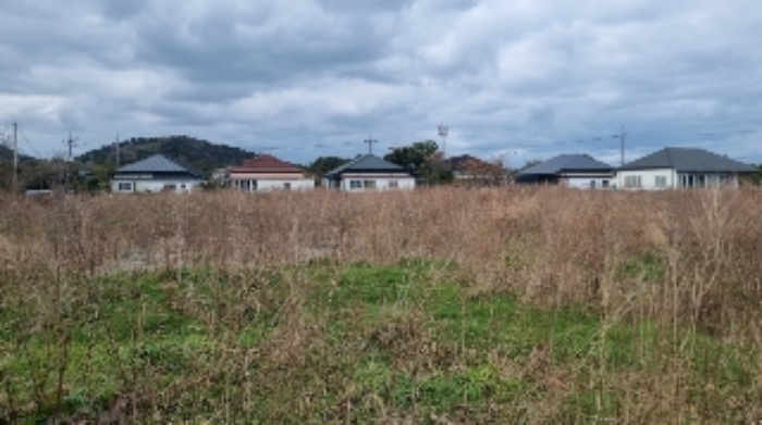 소재지1(봉개동 227-19) 전경2