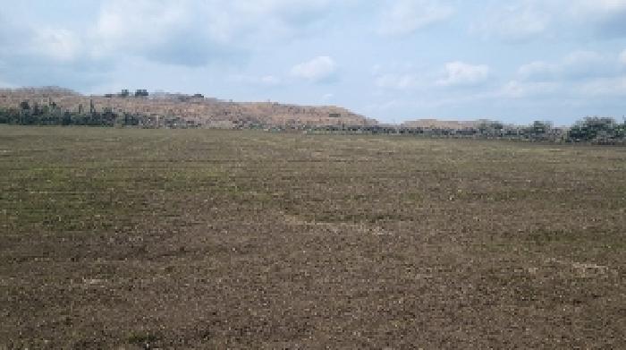 소재지1(상도리 1386) 전경1