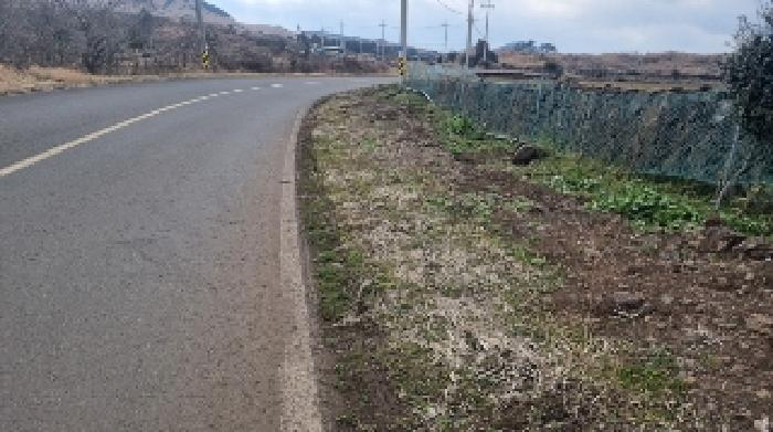 소재지2(상도리 1386-1) 전경