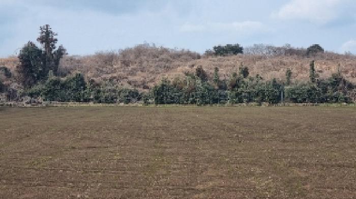 소재지3(상도리 1386-2) 전경