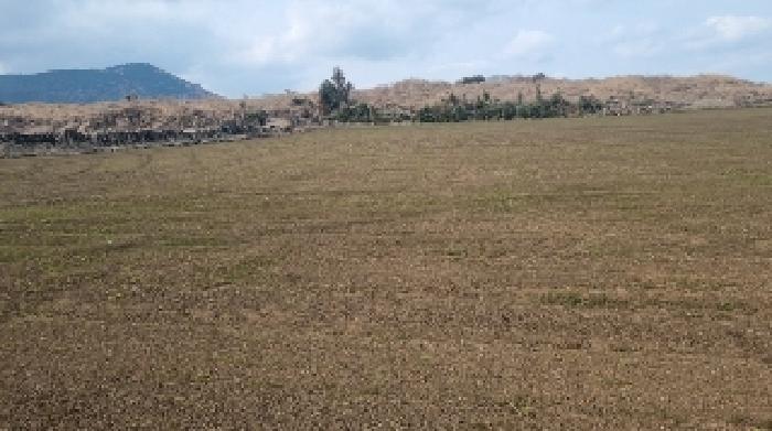 소재지4(상도리 1386-3) 전경