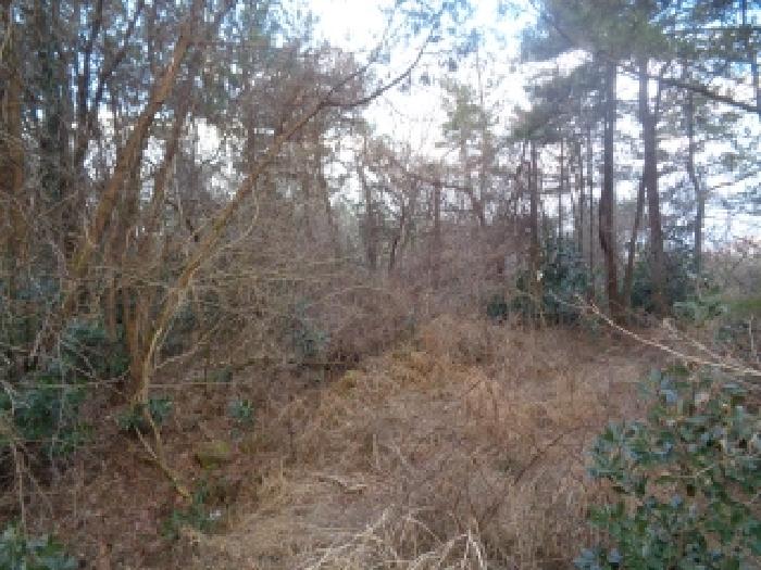 소재지 1. (금악리 산32-13) 전경