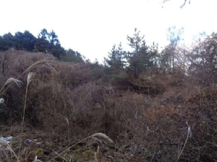 소재지 1. (금악리 산32-13) 전경