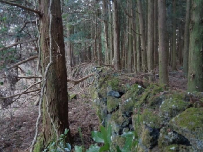 소재지 1. (금악리 산32-13) 전경