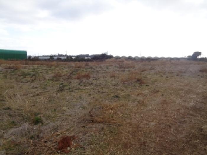 소재지 1. (조수리 4038) 전경