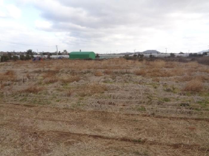 소재지 1. (조수리 4038) 전경