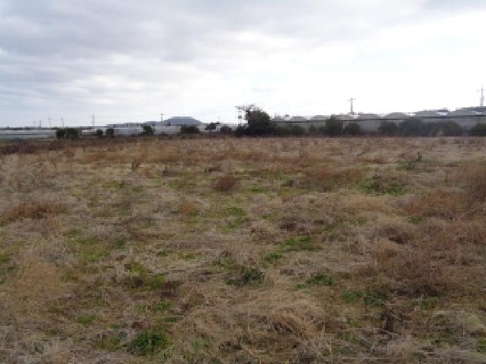 소재지 2. (조수리 4058) 전경