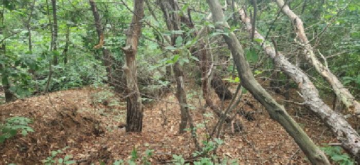 목록2.전경(3)
