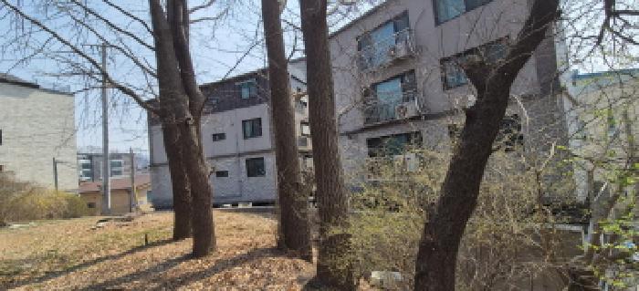 토지 전경도(목록2)(제시외 큰나무4~5그루)