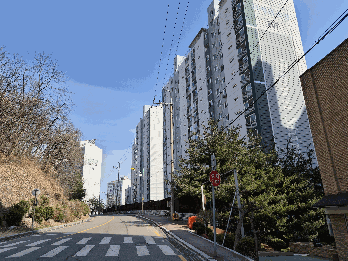 주위환경 - 서측 도로변