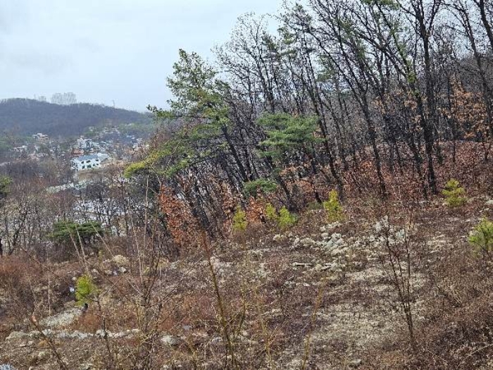 제시 목록 5 전경