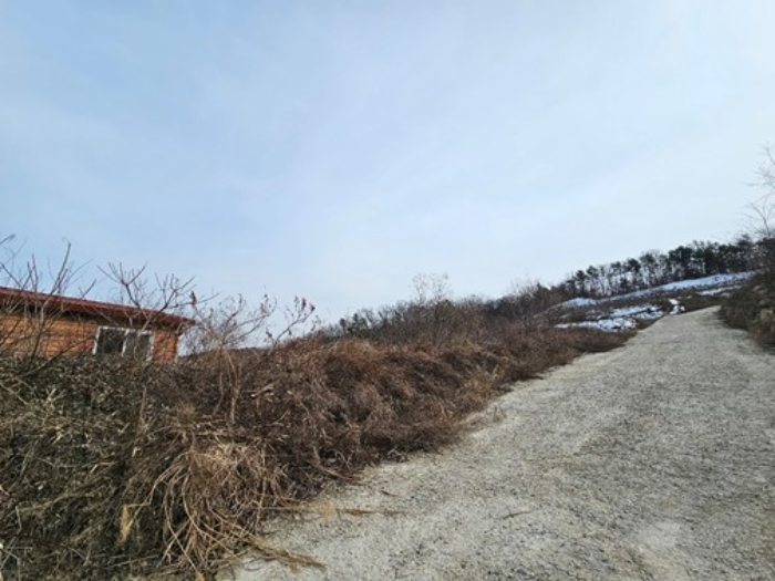 본건 전