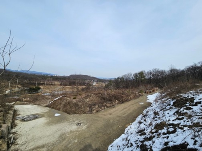 본건 전