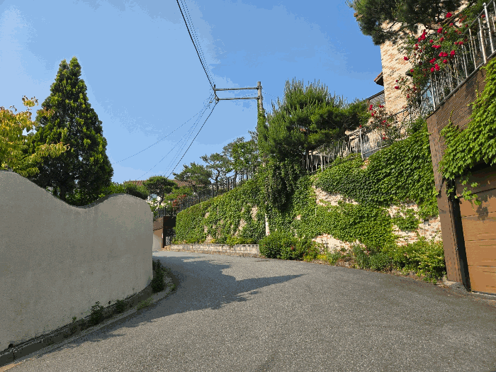 본건 기호 3) 전경 