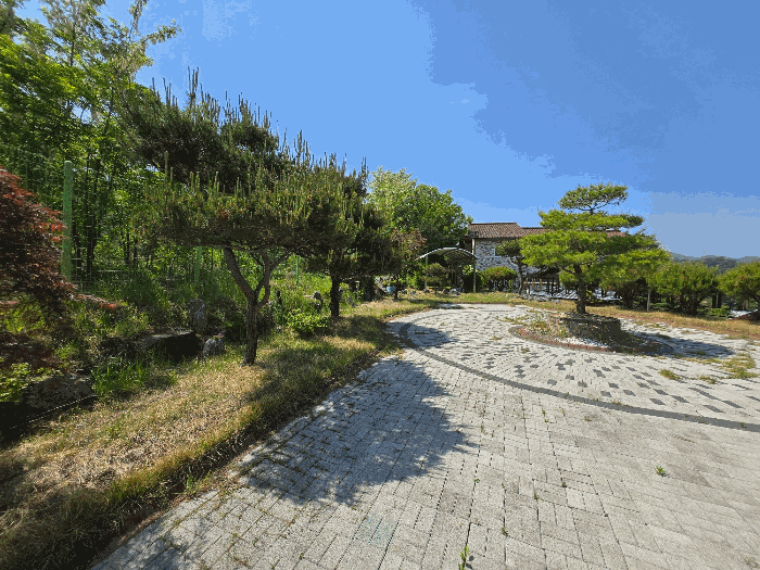 본건 기호 1), 제시외 수목 전경 ①