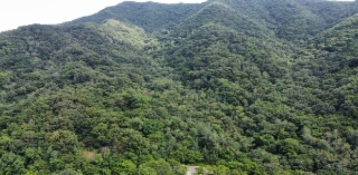 본건 일대 및 주변