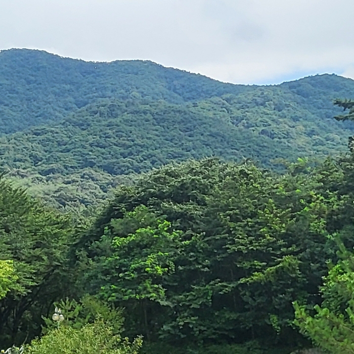 본건 북동측 전경