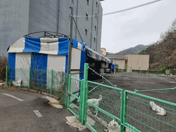 제시외건물 ㄴ), ㄷ)