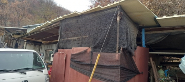 본건 토지에 소재하는 주택 등