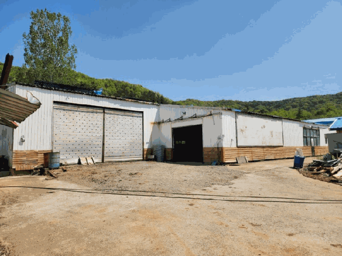 감정서 표지사진