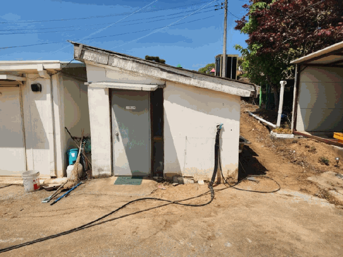 본건전경(기호2-3)