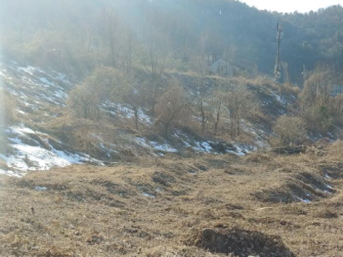 목록1 토지 모습6