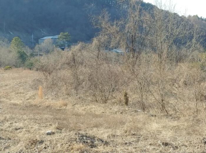 목록1 토지 모습7