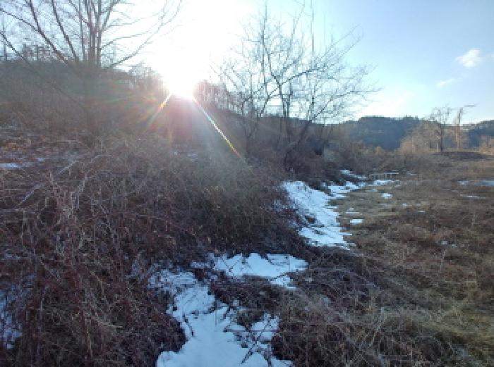 목록2,3,4,5 토지 모습4