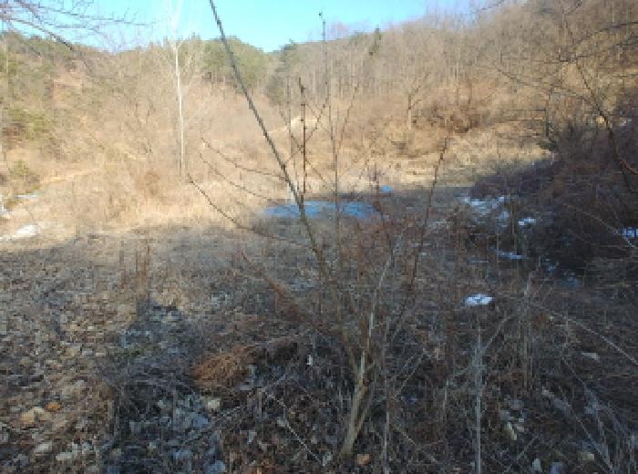 목록2,3,4,5 토지 모습15