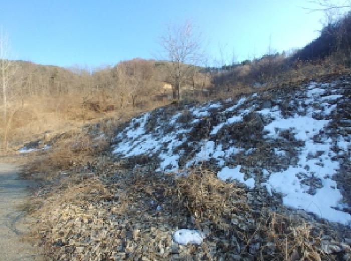 목록2,3,4,5 토지 모습17