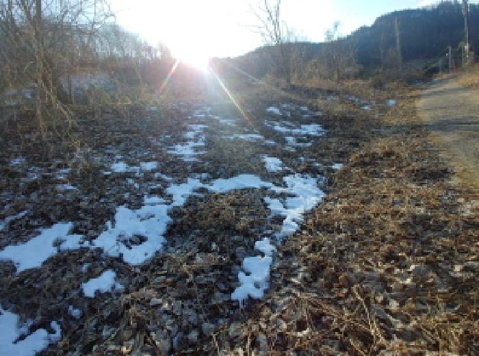 목록2,3,4,5 토지 모습18