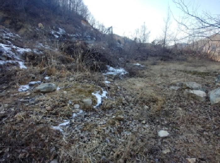 목록6,7,8,9,10,11 토지 모습7