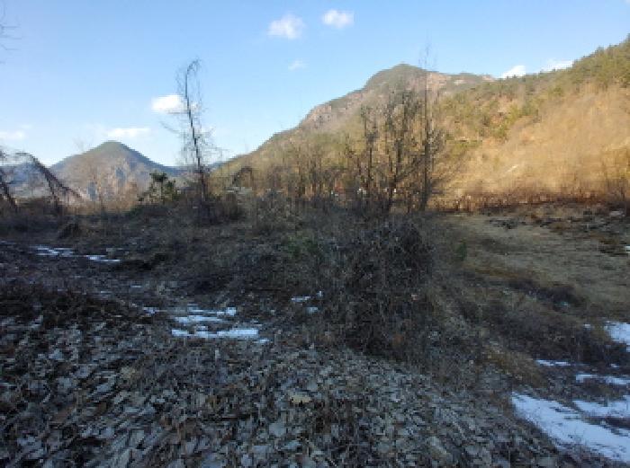 목록6,7,8,9,10,11 토지 모습8