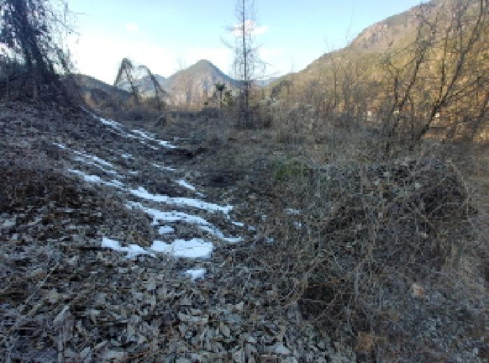 목록6,7,8,9,10,11 토지 모습9