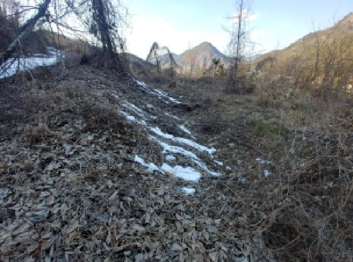 목록6,7,8,9,10,11 토지 모습10